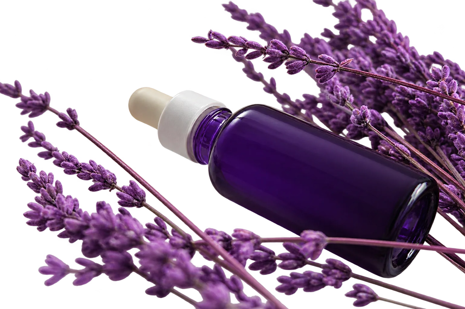 Un flacon violet à pipette posé parmi des brins de lavande.