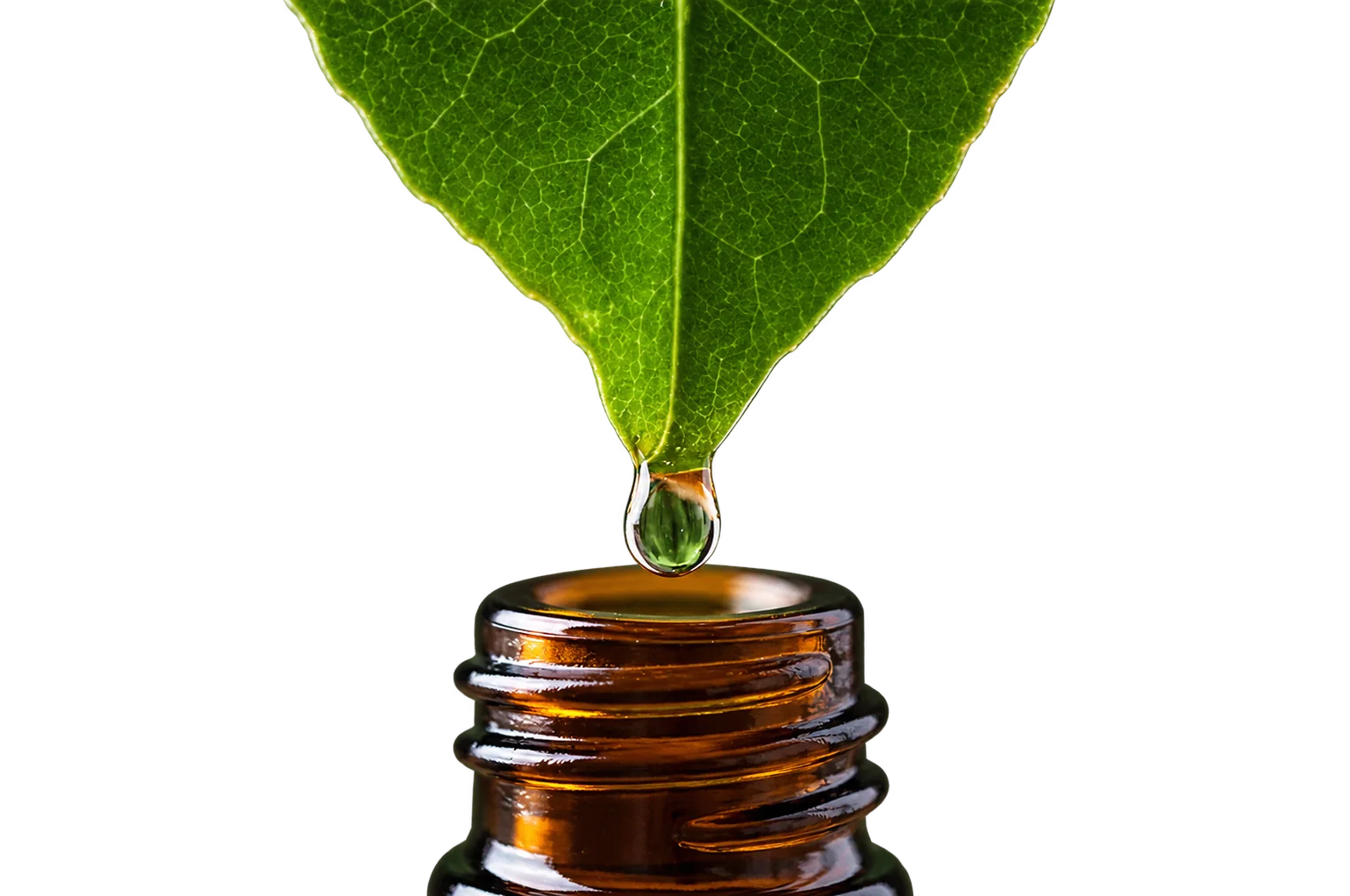 Une goutte translucide se détache de la pointe d’une feuille verte au-dessus du col d’un flacon en verre ambré.